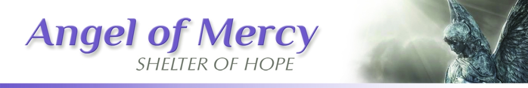 Angel of Mercy Shelter